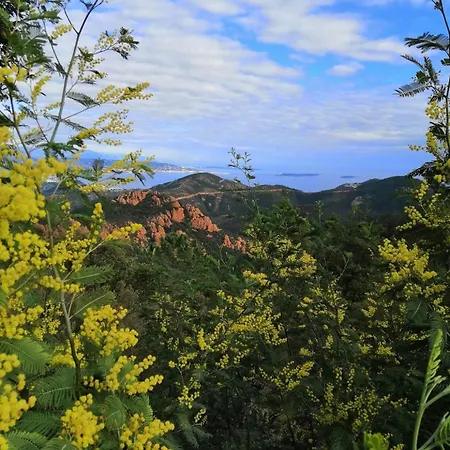Cosy Dans L'esterel Proche *