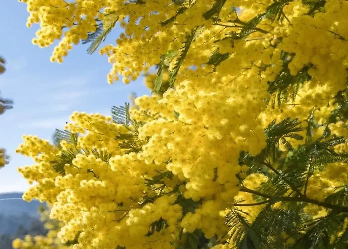 Cosy Dans L'esterel Proche شقة