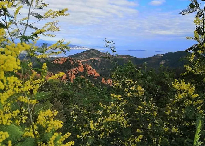 Cosy Dans L'esterel Proche *
